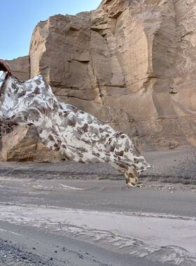 YEVA CHAO油画印花围巾