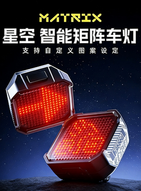 ENLEE自行车尾灯夜骑灯防水充电公路山地车夜间骑行表情刹车灯