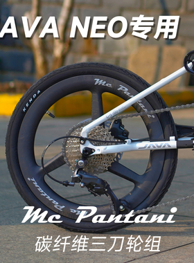 潘塔尼 JAVA NEO3专用16/20寸桶轴碟刹碳纤维三刀轮组前74后142