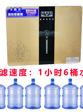 卡斯木直饮水过滤过滤水垢大流量