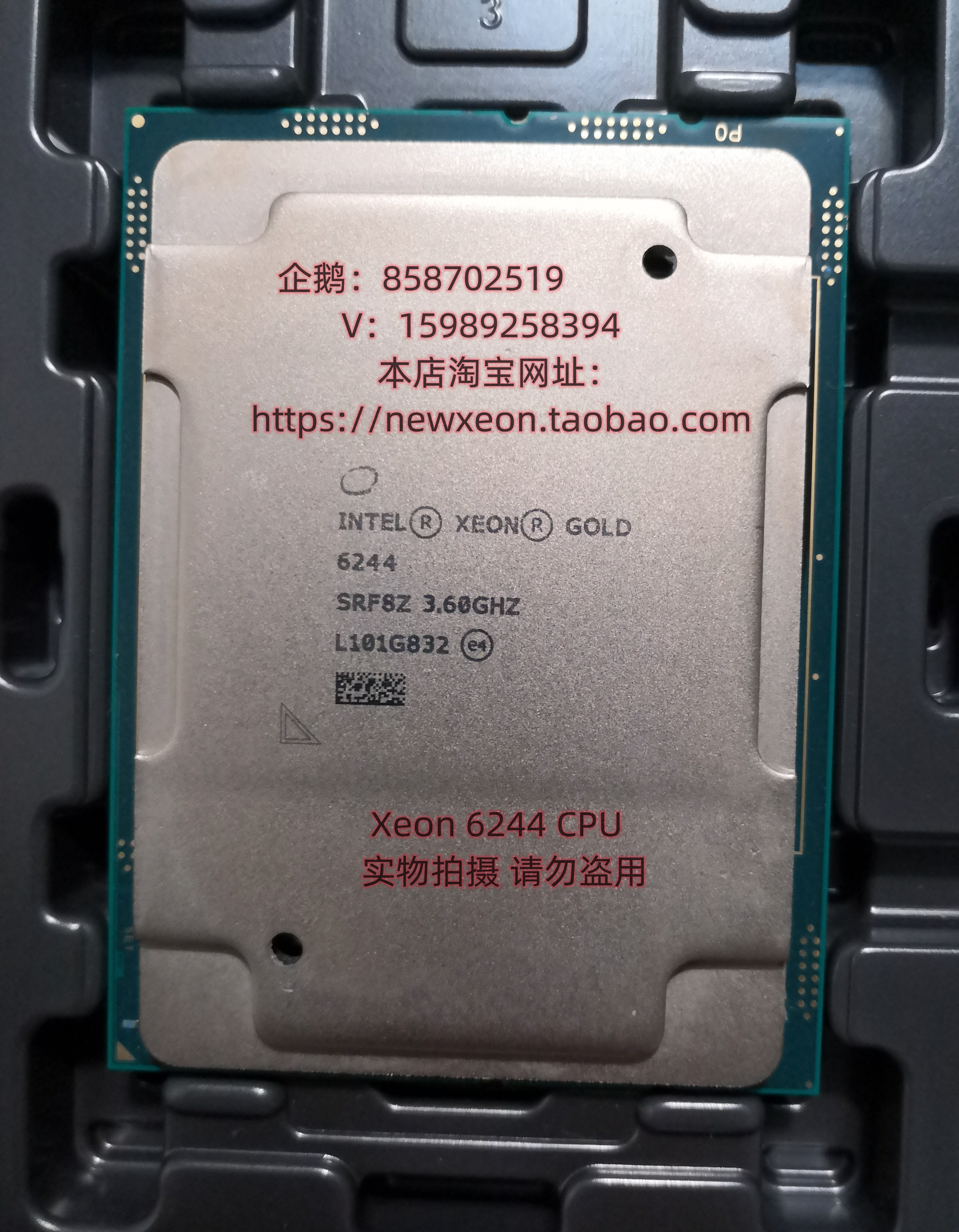 Xeon6244金牌高主频CPU¥14300