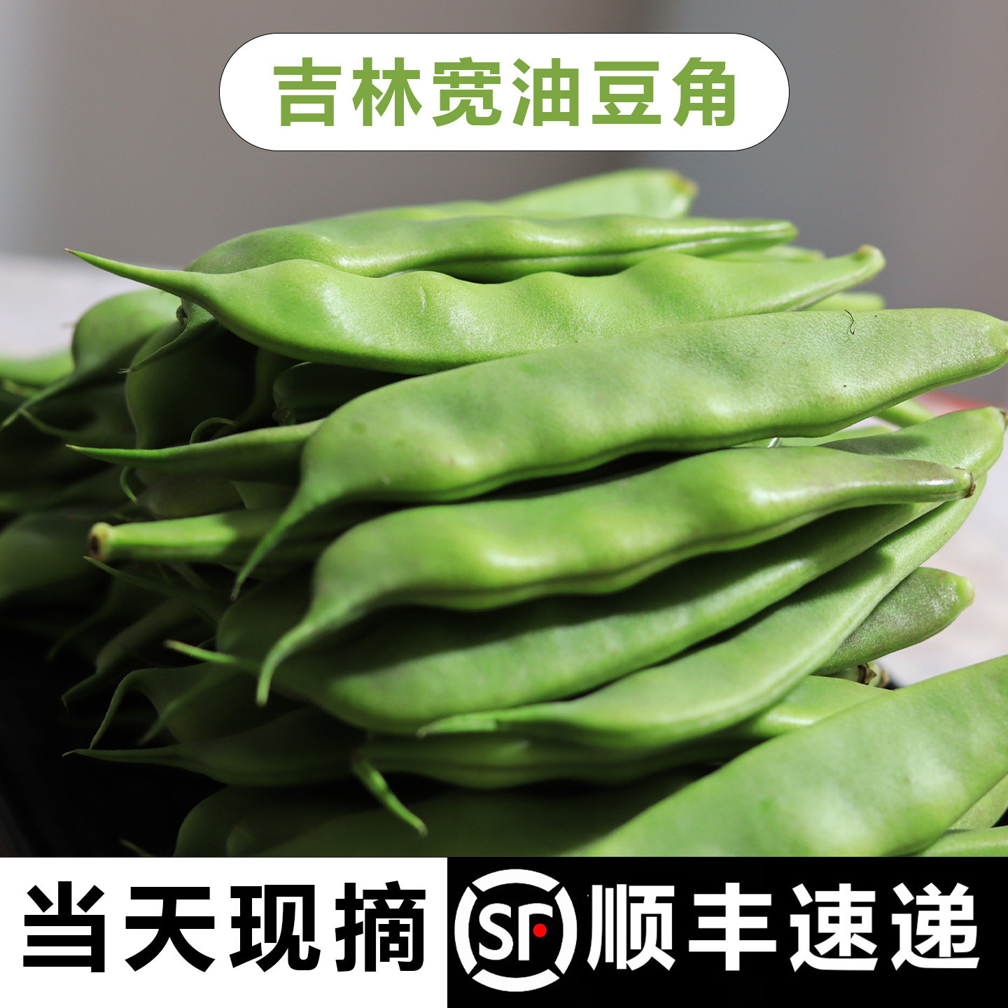 东北新鲜九月青油豆角开锅烂