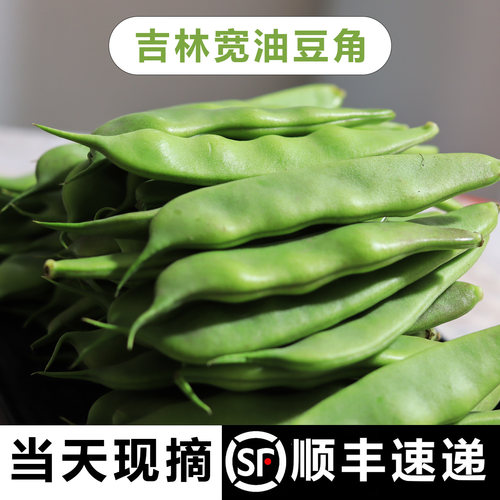 东北新鲜九月青油豆角开锅烂