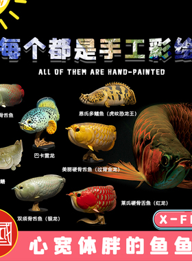 动物星球心宽体胖古代鱼红龙过背金龙巴西骨舌鱼珍珠魟鳄雀鳝银龙