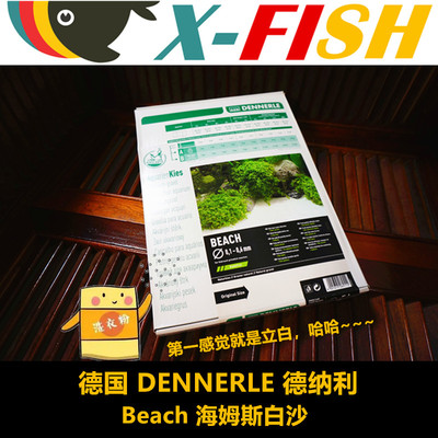 德纳利鱼缸造景沙白沙珊瑚沙
