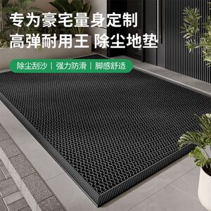 免洗进门垫入户门垫室外家用地毯