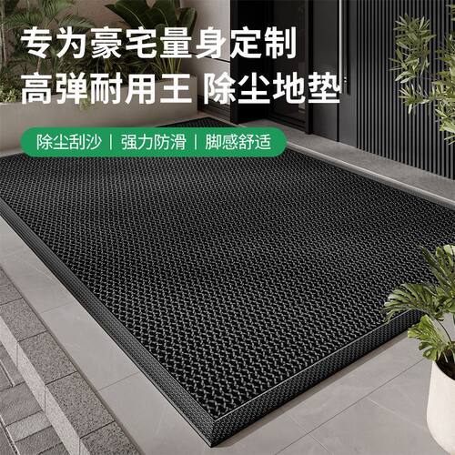 免洗进门垫入户门垫室外家用地毯
