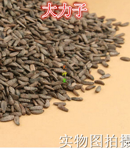 火神堂中药材东北大力子牛蒡子籽 500克28元