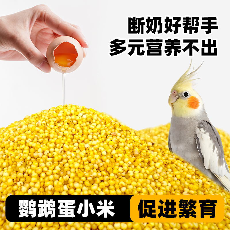 深深宠鹦鹉鸟粮蛋小米黄小米