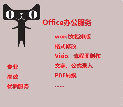 小淘word排版格式Visio画图片修改打字服务公式文字录入pdf转换