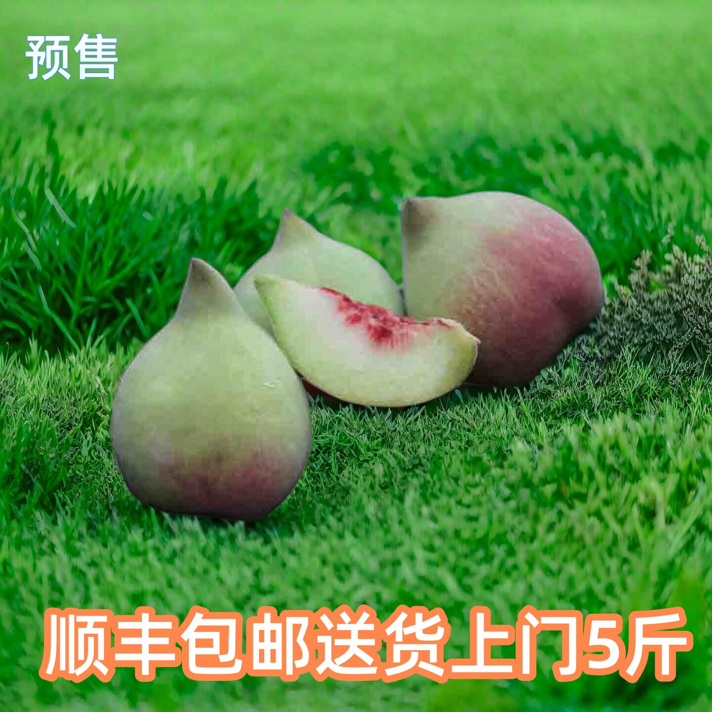 记我云南蒙自鹰嘴桃子新鲜水果现摘开远脆甜水蜜桃大果现货顺丰