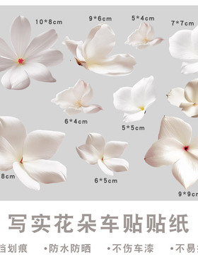汽车划痕遮挡贴纸创意防水白色花朵花瓣车身保险杠小刮痕遮盖车贴
