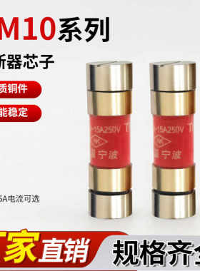 无填料封闭式熔断器RM10