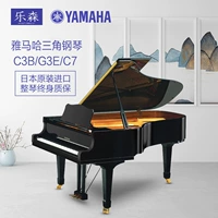 Nhật Bản nguyên bản grand piano cũ chuyên nghiệp chơi người lớn nhà mới bắt đầu Yamaha C7 / C3B / G3E - dương cầm yamaha p85