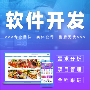 软件开发定制桌面**** APP微信小****公众号WEB网站设计系统定制