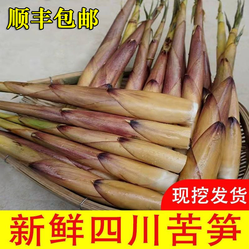 新鲜春笋竹笋现挖四川去老根甜竹笋时令蔬菜野生苦笋包邮宜宾特产