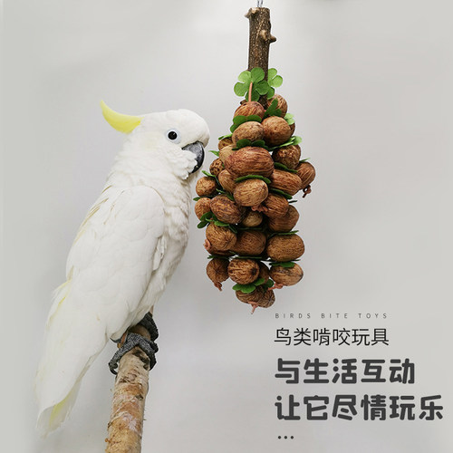 宠物用品玩具鹦鹉坚果咬串