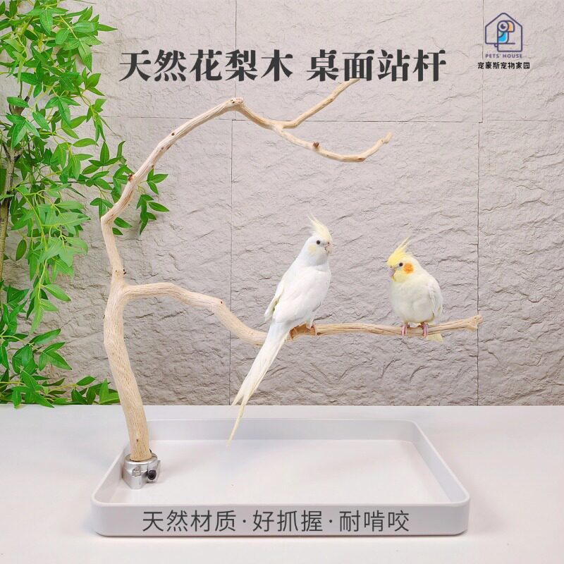 宠豪斯花梨木实木鹦鹉互动站杆