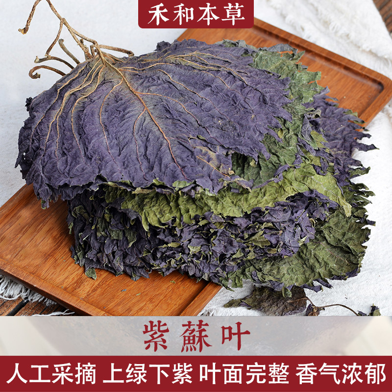 整片的紫苏叶当季新货气浓郁