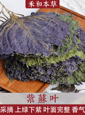 整片的紫苏叶当季新货气浓郁