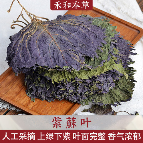 整片的紫苏叶当季新货气浓郁