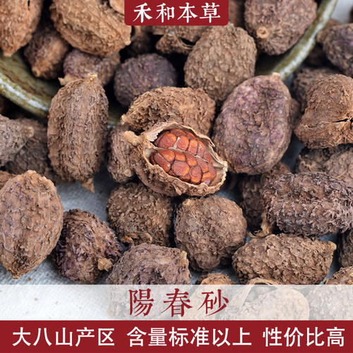 砂仁广东阳春砂100g药食材两用含量高饱满香料春砂仁禾和本草包邮