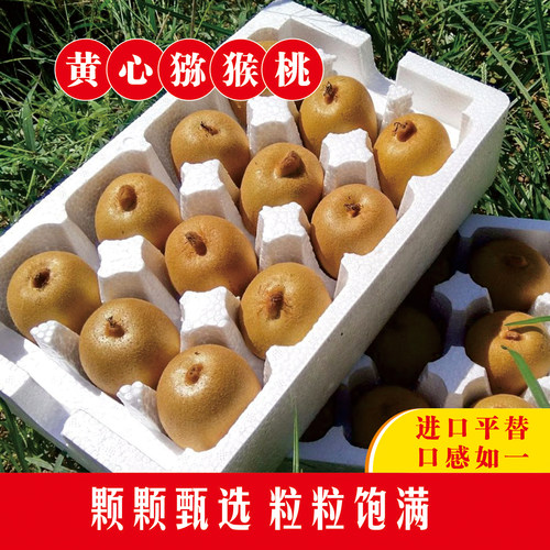 河南西峡黄心猕猴桃金艳大果鲜采