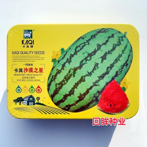 卡其沙漠之星大果型西瓜种籽抗病高产耐重茬杂交大田用种子春夏季