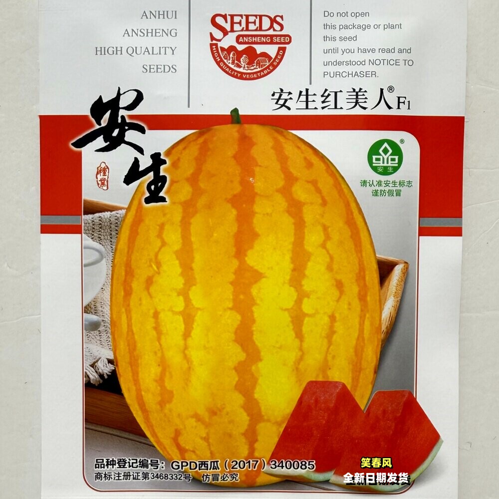 红美人西瓜种子杂交早熟椭圆形黄皮大红瓤西瓜种籽农家春季播