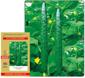 荷兰引进富阳二号黄瓜种子春夏秋蔬菜籽高产抗病四季 播油亮禾之元