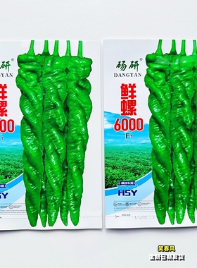 鲜螺6000F1螺丝椒种子高产抗病杂交辣椒种籽农家春秋季播蔬菜种孑