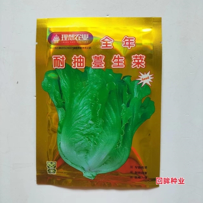 全年耐抽苔生菜种子四季种植意大利生菜种籽阳台盆栽蔬菜种孑