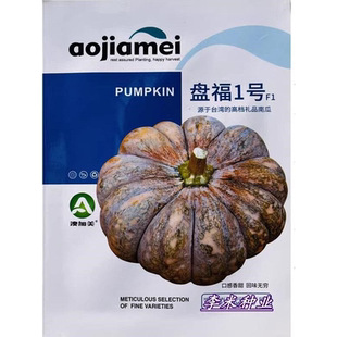 磨盘南瓜种籽盘福一号F1抗病杂交礼品南瓜种子春秋季播蔬菜种孑