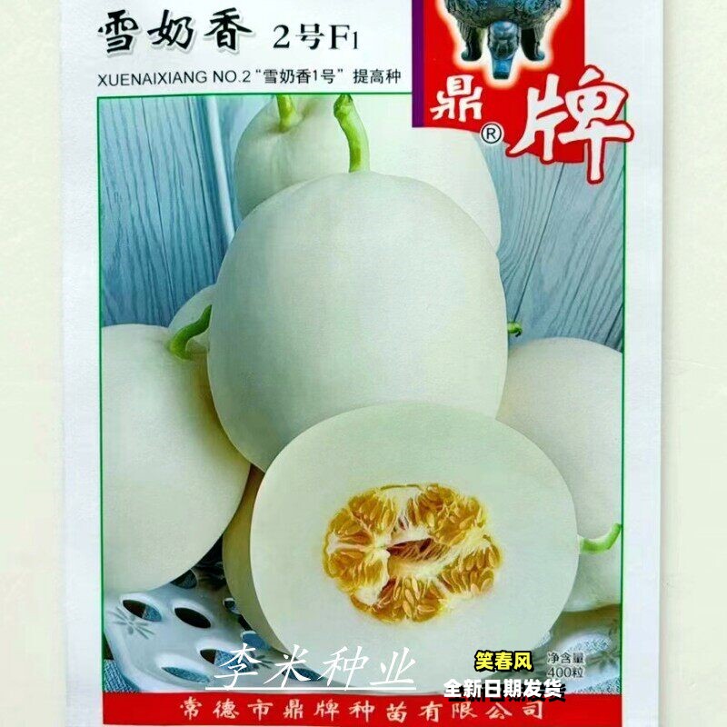 雪奶香1号/2号甜瓜种子白皮超甜香瓜种籽薄皮早熟春秋季播种