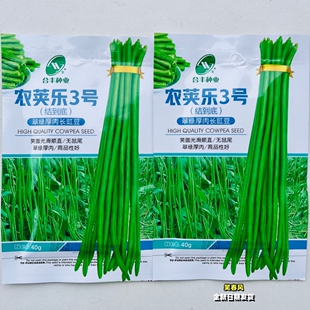 播种孑 农荚乐3号长豇豆种籽翠绿厚肉长豆角种子抗病早中熟春秋季