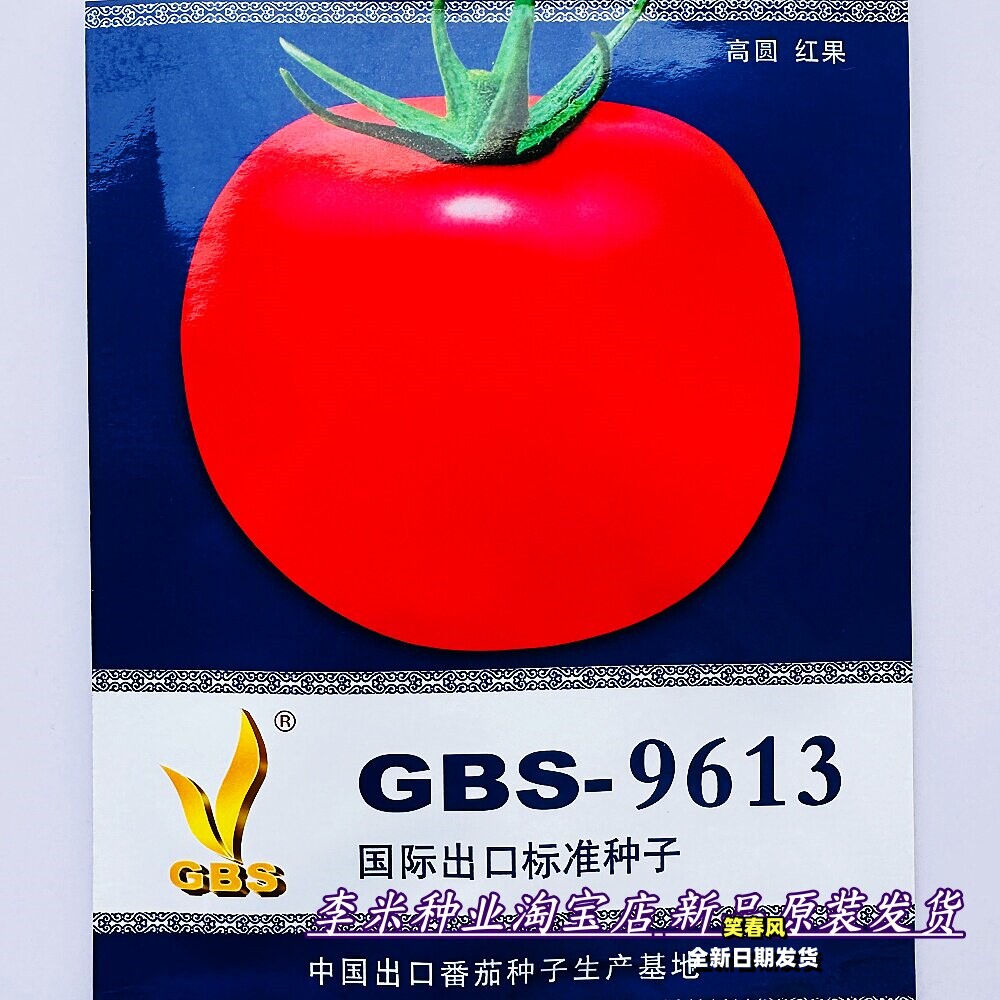 GBS-9613大红番茄种子大连天地种业抗病早熟高圆大果西红柿种籽孑