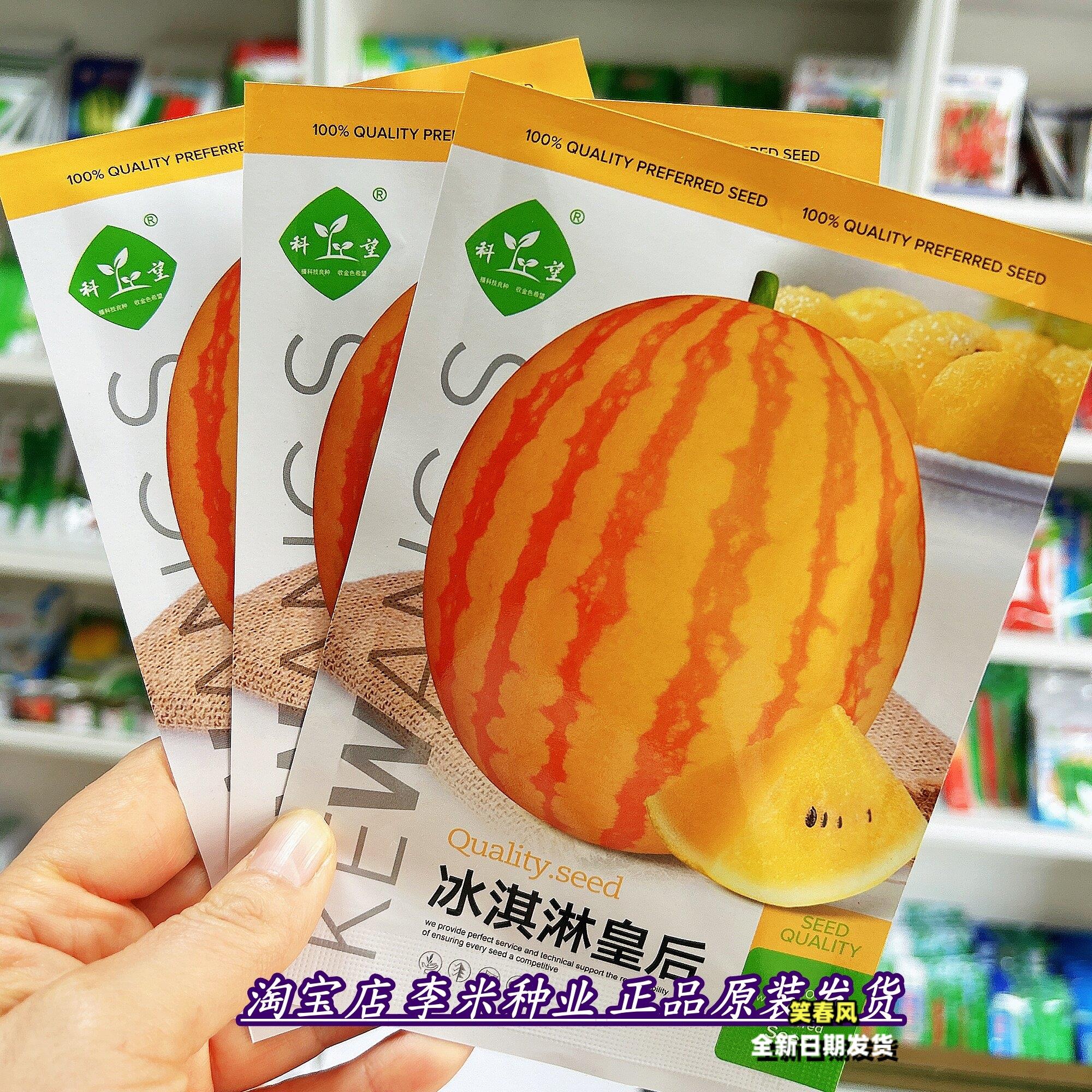 冰淇淋皇后黄皮黄瓤西瓜种子 高端礼品西瓜种籽 大田基地早春播种