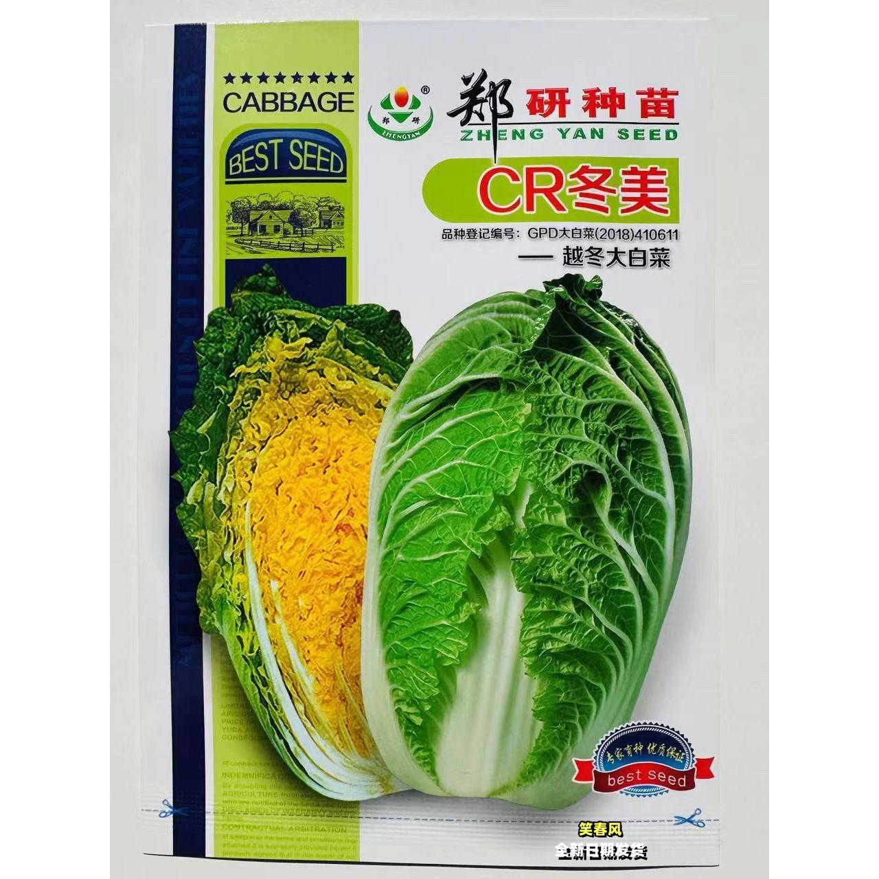 CR冬美黄心大白菜种子秋播越冬正宗黄心白菜种籽抗病耐寒进口蔬菜