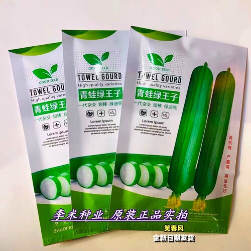 青蛙绿王子短棒油皮香丝瓜种籽早熟高产春夏秋季绿油亮丝瓜种籽孑