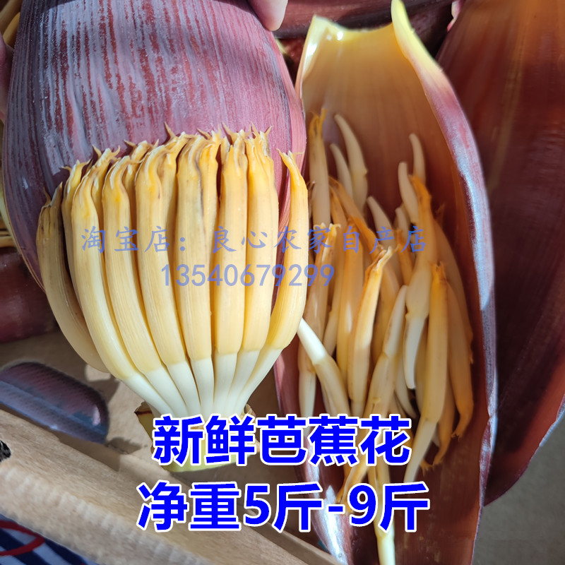 新鲜芭蕉花巴蕉花巴焦花5斤净重 现摘芭蕉花蕾 食用蔬菜 药引子