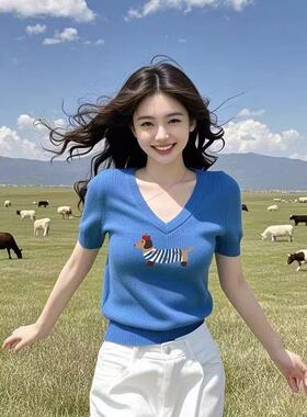 卡通印花蓝色V领针织衫短袖t恤女士春夏季打底小衫高级感洋气上衣