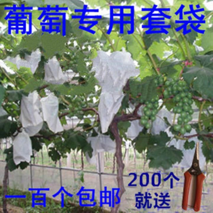 果袋防雨淋袋子台果葡萄套袋结实无菌防污染种植防风大棚无纺布耐|ruв категории доставка цветов/цветок моделирования/растения садоводства, садовых принадлежностей, других садовых принадлежностей - от Buy2taobao.com для оказания профессиональной услуги покупки агента Taobao