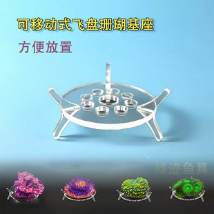 飞盘珊瑚基座脑类珊瑚基座飞盘基座可移动式便捷繁衍托盘基座
