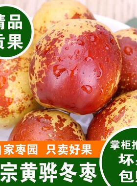 黄骅冬枣甜甜脆脆个大皮薄好吃