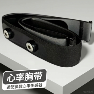 胸带替换 BigRun心率带带子POLAR 跑步游泳骑行运动防滑 配件