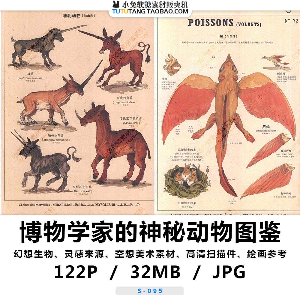 幻想生物图鉴 海兽独角兽 博物学家 神奇幻手记美术素材绘画参考