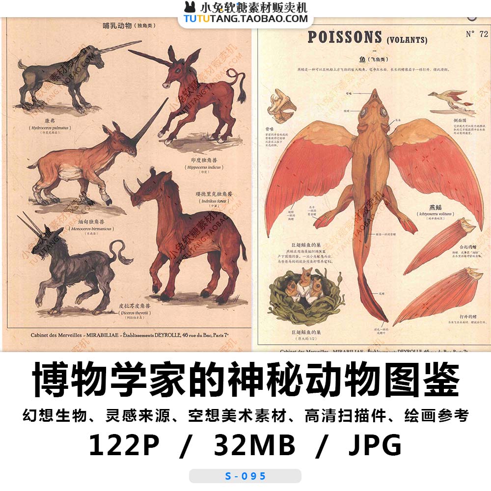 幻想生物图鉴海兽独角兽博物学家神奇幻手记美术素材绘画参考