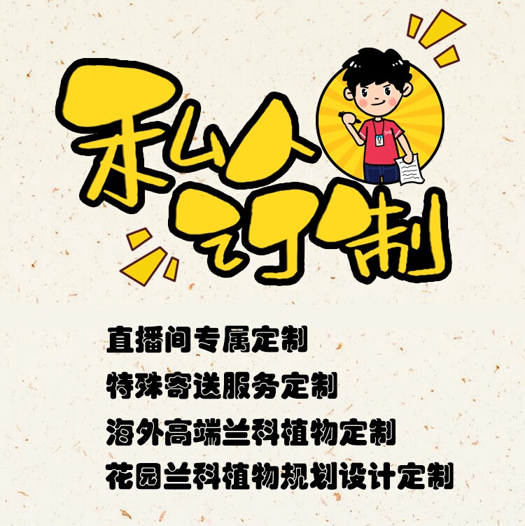 高端定制直播间