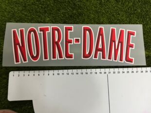 巴黎圣母院火灾纪念版 Dame热转印烫画印号 名字Notre