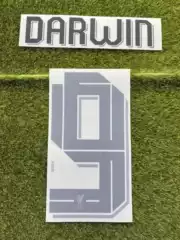2023 Liverpool Away Jersey Number 9 Nunez, Number 11 Salah, Number 0 Mcalister, Number 66 Arnold